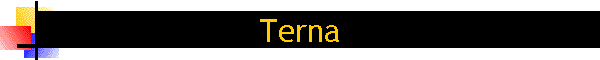 Terna