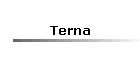 Terna